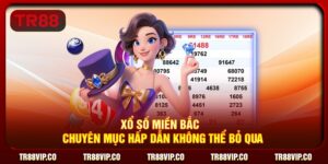Xổ Số Miền Bắc - Chuyên Mục Hấp Dẫn Không Thể Bỏ Qua